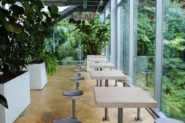 korea cafe interior green tree architecutre gardening