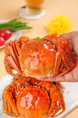 Fresh Cooked Yangcheng Lake Hairy Crabs Closeup Hand Holding Chinese Delicacy Seafood