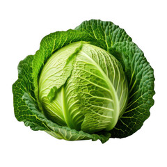 head of fresh cabbage isolated on white or transparent