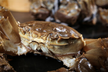Fresh Yangcheng Lake Hairy Crabs Closeup - Chinese Premium Seafood Delicacy