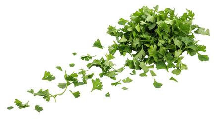 Obraz premium Fresh Parsley Herbs Chopped Falling