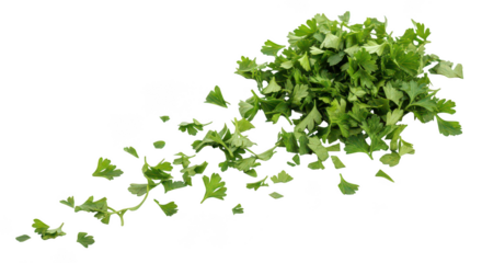 Fresh Parsley Herbs Chopped Falling