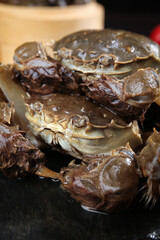 Fresh Raw Hairy Crabs Closeup - Premium Seafood for Culinary Preparation