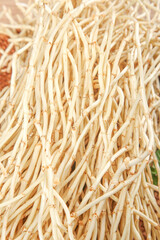 Fresh White Root Vegetables Bundle from Guizhou China - Organic Farm Produce with Natural Segmented Texture