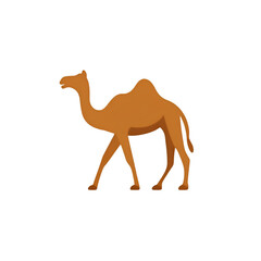 A solitary camel walking gracefully across the desert landscape, symbolizing resilience and adaptability in harsh environments.
