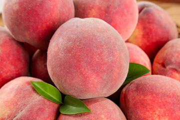 Freshly Picked Red Peaches from Hubei Province with Green Leaves - Ripe Stone Fruit
