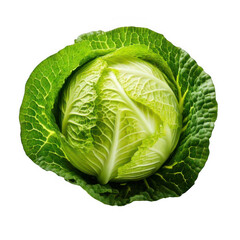 Fototapeta premium head of fresh cabbage isolated on white or transparent.