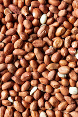 Peanut bird food seed background backdrop. Feeding nature through winter concept.