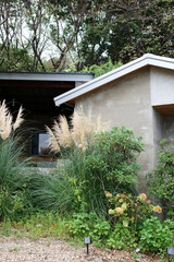 architecture korea green tree plant building