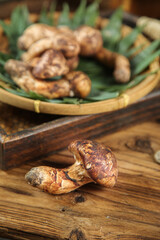 Fresh Wild Agaricus Mushrooms from Yunnan China in Bamboo Basket on Rustic Wood Surface