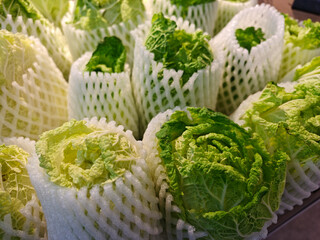 Fresh Green Lettuce Wrapped in Protective Netting Displayed Neatly