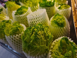 Fresh Green Lettuce Wrapped in Protective Foam for Safe Storage