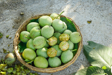 Fresh Green Walnuts and Pecans in Wicker Basket - Healthy Organic Nuts with Tender Shells and Kernels