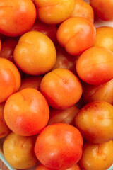Fresh Xinjiang Apricots with Vibrant Orange Red Skin in Wooden Container