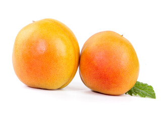 Fresh Xinjiang Apricots with Mint Leaf on White Background - Organic Stone Fruit