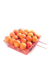Fresh Xinjiang Apricots in Red Wire Basket on White Background - Healthy Organic Stone Fruit