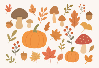 가을 여러가지 자연요소