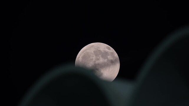 Close-up view of the Supermoon shining over the night sky in the GCC.