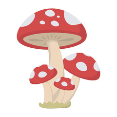 Mushrooms Autumn Element