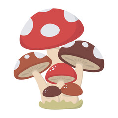 Mushrooms Autumn Element