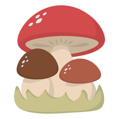 Mushrooms Autumn Element