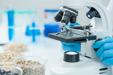 check chemical whole grains residues in laboratory. Control experts inspect the concentration of chemical residues. hazards, standard, prohibited substances, contaminate, Microbiologist