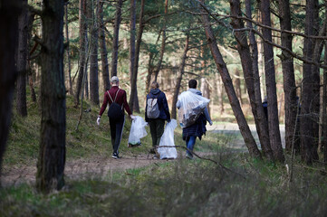 Fototapeta premium A group of people walking with large garbage bags through a forested area, participating in a forest cleanup activity in Poland. Their actions contribute to environmental conservation efforts.