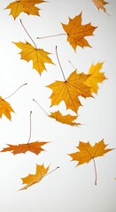 Fototapeta premium Golden Autumn Leaves: A collection of vibrant, golden maple leaves gently floating and falling. a sense of nostalgia, capturing the season's exquisite beauty and serene moment.
