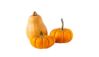 Fototapeta premium set of pumpkins isolated on transparent background, png 