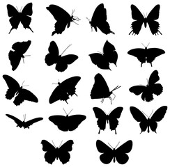 Fototapeta premium set of butterflies