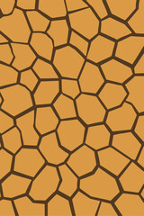 dry cracked desert ground pattern