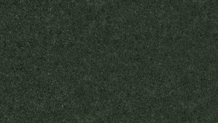 Abstract background of a dark green textured surface with a subtle granular effect creating a minimalist and organic visual appeal