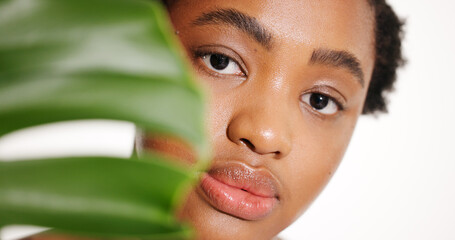 Portrait, skincare and black woman with leaf in studio for natural beauty, glow or organic...