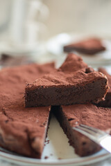 delicious square pieces of fudgy chocolate brownies