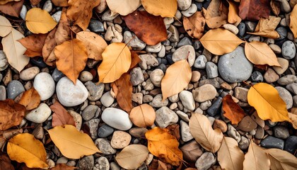 Autumnal Stones and Leaves: A Serene Fall Scene