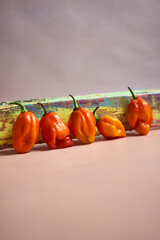 Creative still life with fresh fruits and vegetables – grapefruit, kiwi, habanero peppers,...