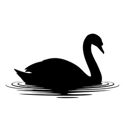 Black swan swimming in water silhouette isolated on white background