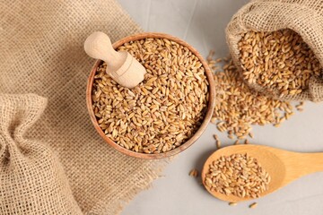 Wheat grains in bowl, spoon and burlap sacks on light grey table, flat lay