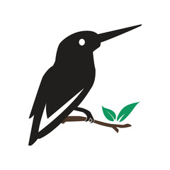 Make a Professional Bird Vector Art