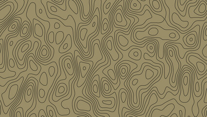 Background of the topographic map. Topo map with elevation. Geographic line mountain relief. Vector illustration