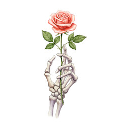A rose in the hand of a skeleton