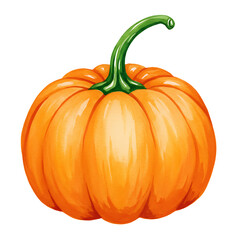 pumpkin isolated on white