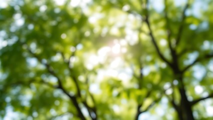 Fototapeta premium An abstract nature scene with blurred trees and soft sunlight creating a dreamy effect.