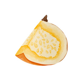 slice of pumpkin water color