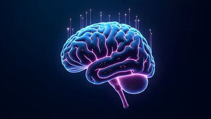 Human Brain Neural Network, Cognitive Functions, and Neurological Processes