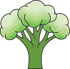 Fresh cauliflower vegetable illustration isolated on white background