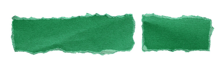 torn or ripped green paper isolated on transparent png background,realistic torn cardboard paper...