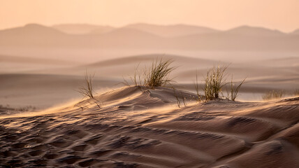 Sand dunes desert bathed in golden light during sunset with gentle breezes creating ripples in the sand and grass