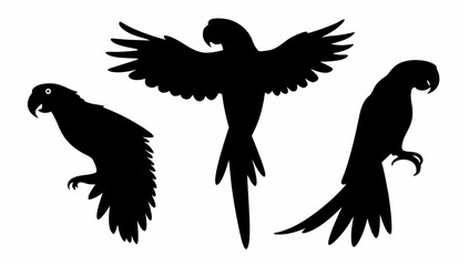 Obraz premium Silhouette illustration of three parrots in different poses against a white background design art vector