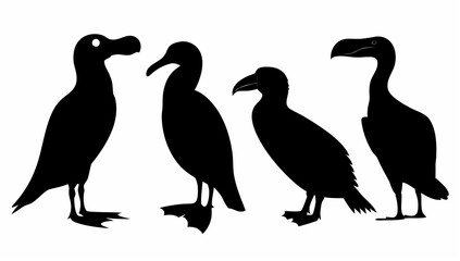Obraz premium Illustration of four different bird silhouettes standing side by side in a row against a white background